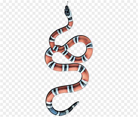 corn snake gucci|origin of Gucci snake.